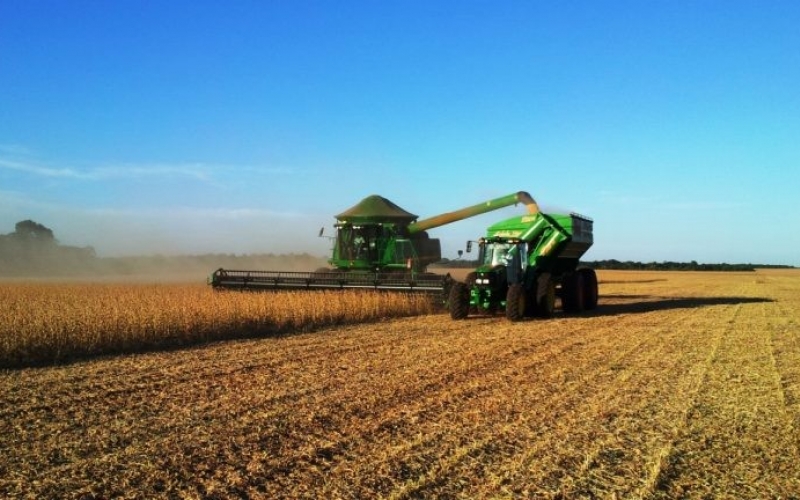 CASSILÂNDIA LIDERA O RANKING EM PRODUTIVIDADE DE SOJA EM MS